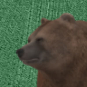 Meet your Posher, Thomas